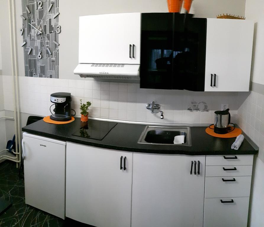 Apartment Apartmany Zelezna Ruda *
